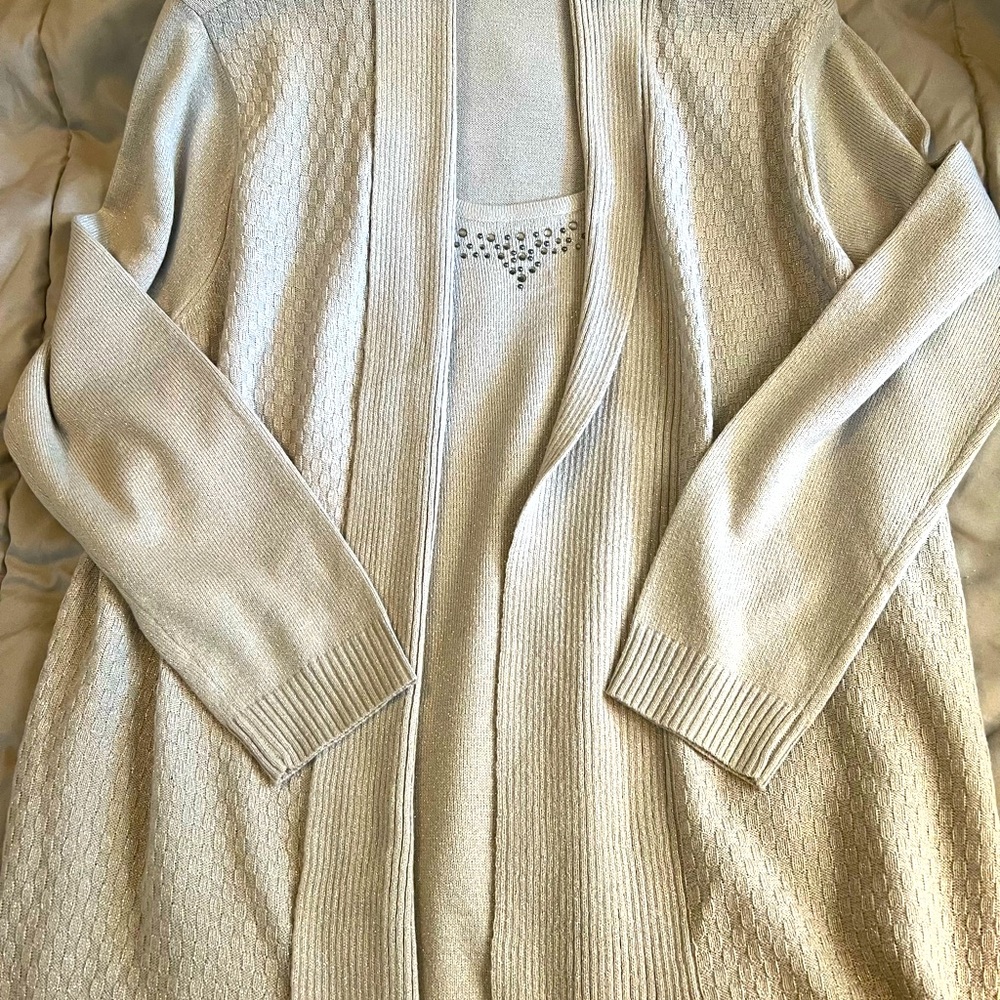 2X, Briggs of New York, Silver sparkly sweater, NWOT